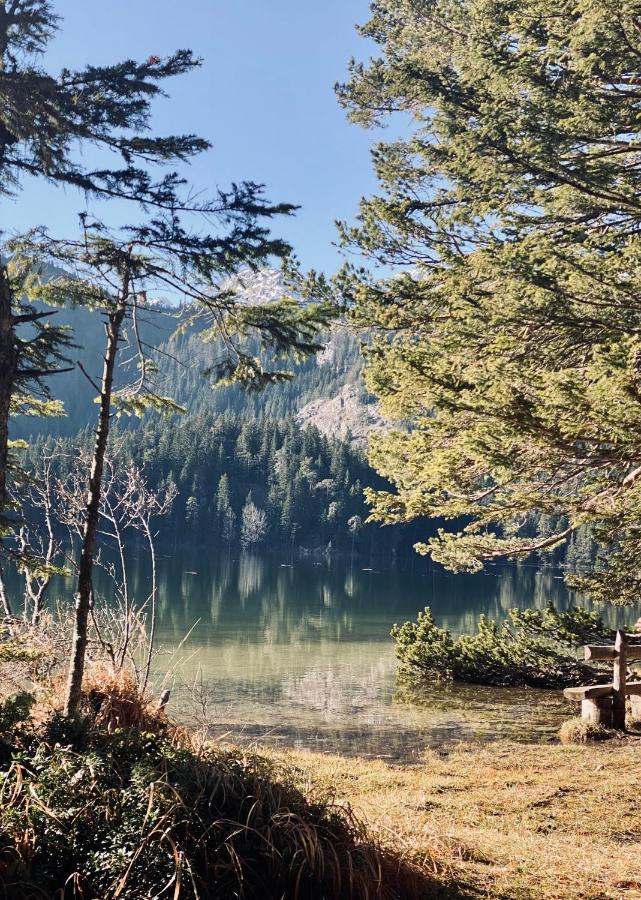 Magia Di Montagna Villa Žabljak Екстериор снимка