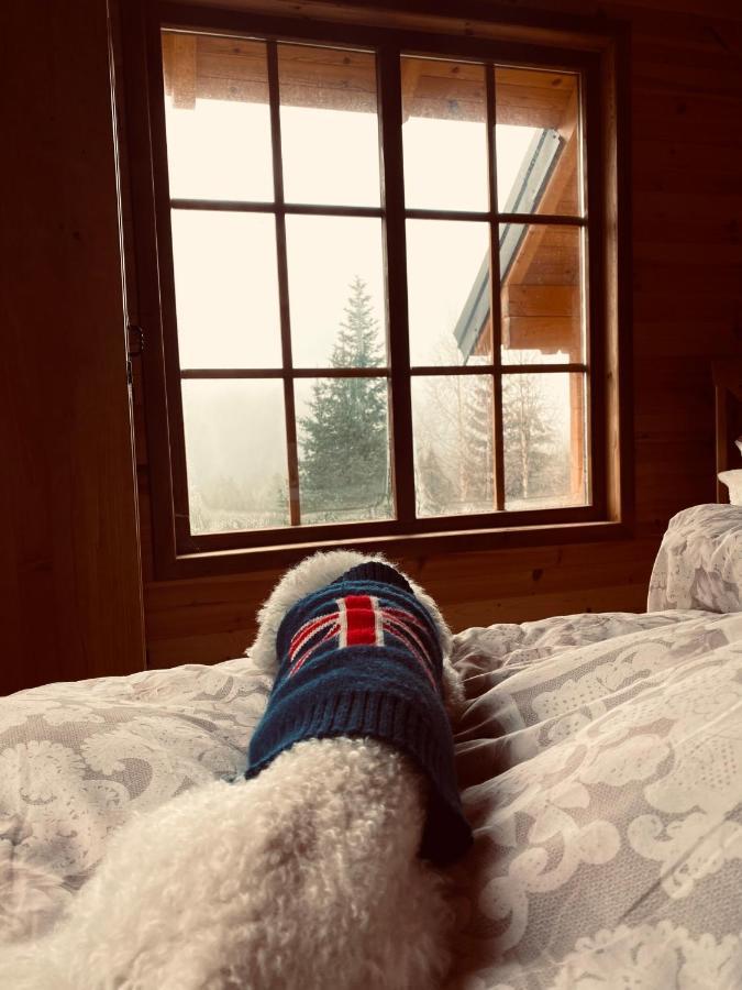 Magia Di Montagna Villa Žabljak Екстериор снимка