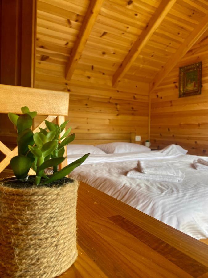 Magia Di Montagna Villa Žabljak Екстериор снимка