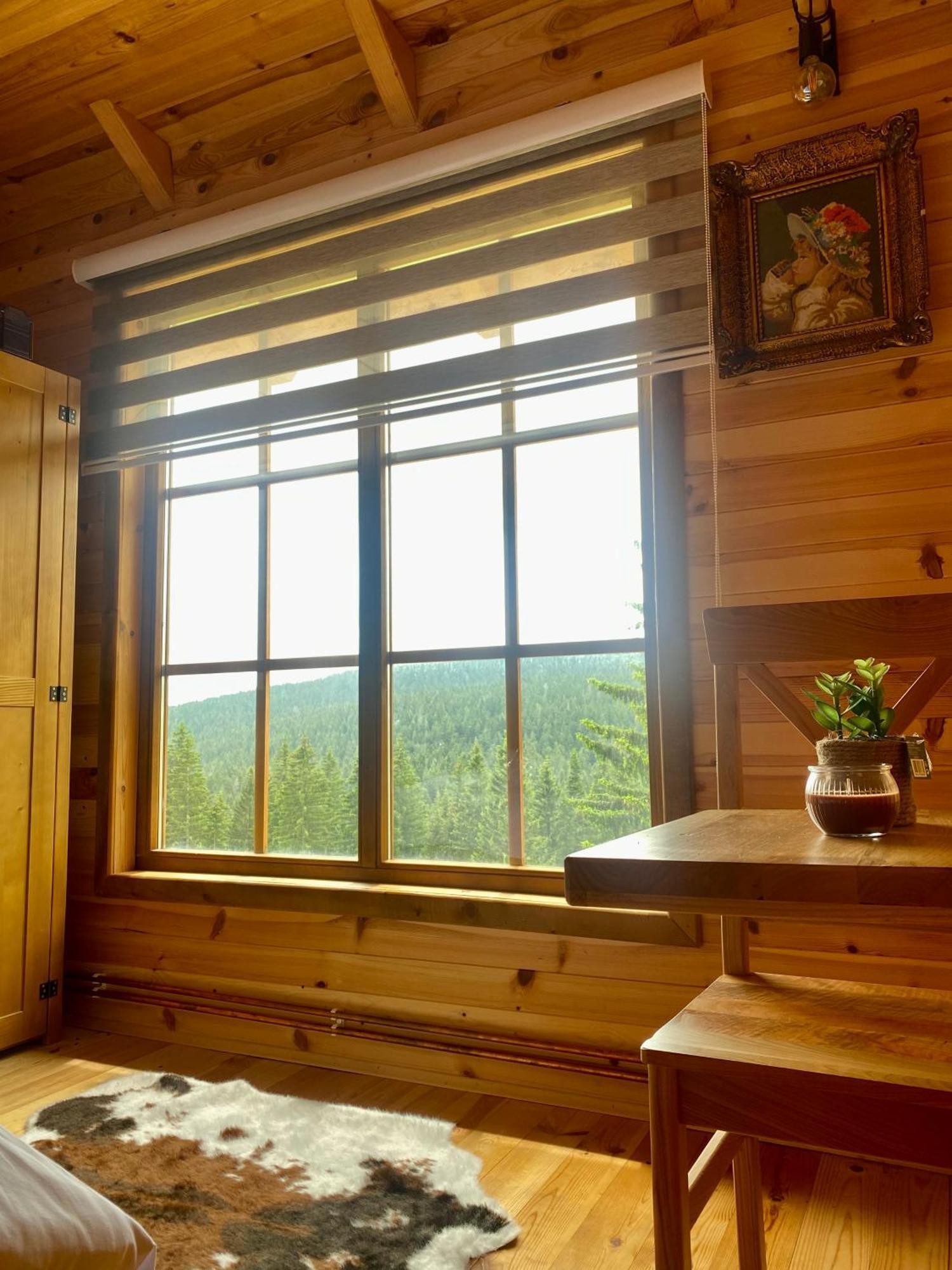 Magia Di Montagna Villa Žabljak Екстериор снимка